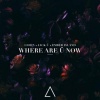 LIOHN、Jack Ü、Ember Island - Where Are Ü Now