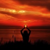 Masajes Spas、Musica Relaxante、Sonido Del Bosque y Naturaleza - Sounds of Clarity
