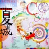夏金城 - 为了靓靓
