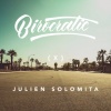 Birocratic - burner