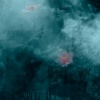 清秋秋 - 越人歌