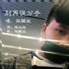 张毓波 - 别再说分手