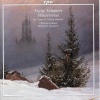 Christian Elsner、henschel quartet - Winterreise, Op. 89, D. 911 (Arr. J. Josef for Tenor & String Quartet): No. 1, Gute Nacht
