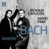 David Fray、Renaud Capuçon - I. Largo