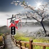 洗衣粉 - 古城