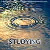 Study Music、Sounds、Study Alpha Waves、Binaural Beats Study Music - Binaural Rain Beats For Concentration