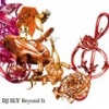 DJ Sly、kaoru、Paulie Rhyme - Like You