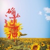 陈丙、唐总 - 一生要走多久的路程