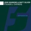 John Manning、Matt Silver - Pikadeli Shindig (Original Mix)