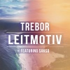 Trebor、Sakso《Leitmotiv (Radio Edit)》[MP3/LRC]