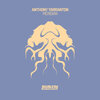 Anthony Yarranton - Meridian (Original Mix)