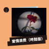 李雪飞 - 爱情浪费