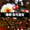 冷晨 - 佛啊 你可渡我