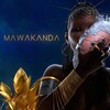 James BKS、Ebenezer、Reo Cragun - MaWakanda (feat. Ebenezer & Reo Cragun)(Explicit)