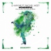 D-wayne、Rachel West - Wonderful (Pnut & Jelly & D-wayne Remix)