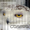 Gavio - Human Rights