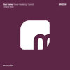 Sam Davies - Forever Wandering
