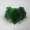 Ceas - Ombre