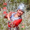 伊人家乡 - 问凤凰