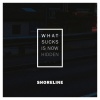 Shoreline - What Sucks Is Now Hidden...