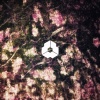Wurtz、Iberian Muse - Poetry (Original Mix)