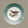 Caravelli - Quand C'Est De L'Amour