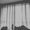 花粥 - 我说我当不了县长