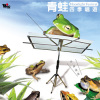 吴金黛 - 春天的歌