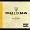 Eels - Novocaine For The Soul