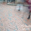 Roosevelt - See, This Is Why We Can't Have Nice Things