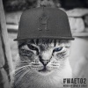 Flosstradamus - Hood Fantasy