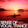Serge Devant、Emma Hewitt - Take Me With You