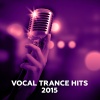 Dash Berlin、Roxanne Emery - Shelter (Photographer Radio Edit)
