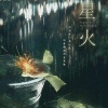 弦森 - 星火