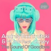 Andrey Exx、Troitski、I-One、Casey - The Sound Of Goodbye