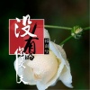 祁南兮 - 没有你的夏天