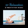 Inspiring Tranquil Sounds - 50 Relaxation & Meditation Music