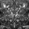 Diarmaid O Meara、Dorbachov - Order From Chaos (Original Mix)