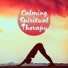 Reiki、Spiritual Music Collection、Namaste Yoga Collection《Calm Therapy》[MP3/LRC]