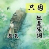 颜笑 - 只因她是宋词