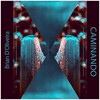 Brian D'Oliveira - Caminando