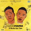 monotone cube、A Martin《Madhara》[MP3/LRC]