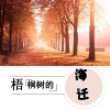 逸雨 - 梧桐树的海迁