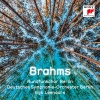 Rundfunkchor Berlin、deutsches symphonie-orchester berlin、Johannes Brahms、Gijs Leenaars《I. Langsam und sehnsuchtsvoll》[MP3/LRC]