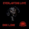 Doc Link - Everlasting Love (Original Mix)