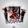 Jonathan Hay、mike smith、CyHi The Prynce、Ranna Royce、Aneesa Badshaw、Faincarter、King Graint、Iliana Eve - Indiana ((Explicit))