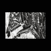 Bleak - Elude