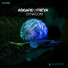 Dynacom (ARG) - Asgard