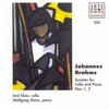 Wolfgang Manz、emil klein - Allegro non troppo