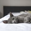 White Noise Relaxation - Fan Soft and Humming Noise